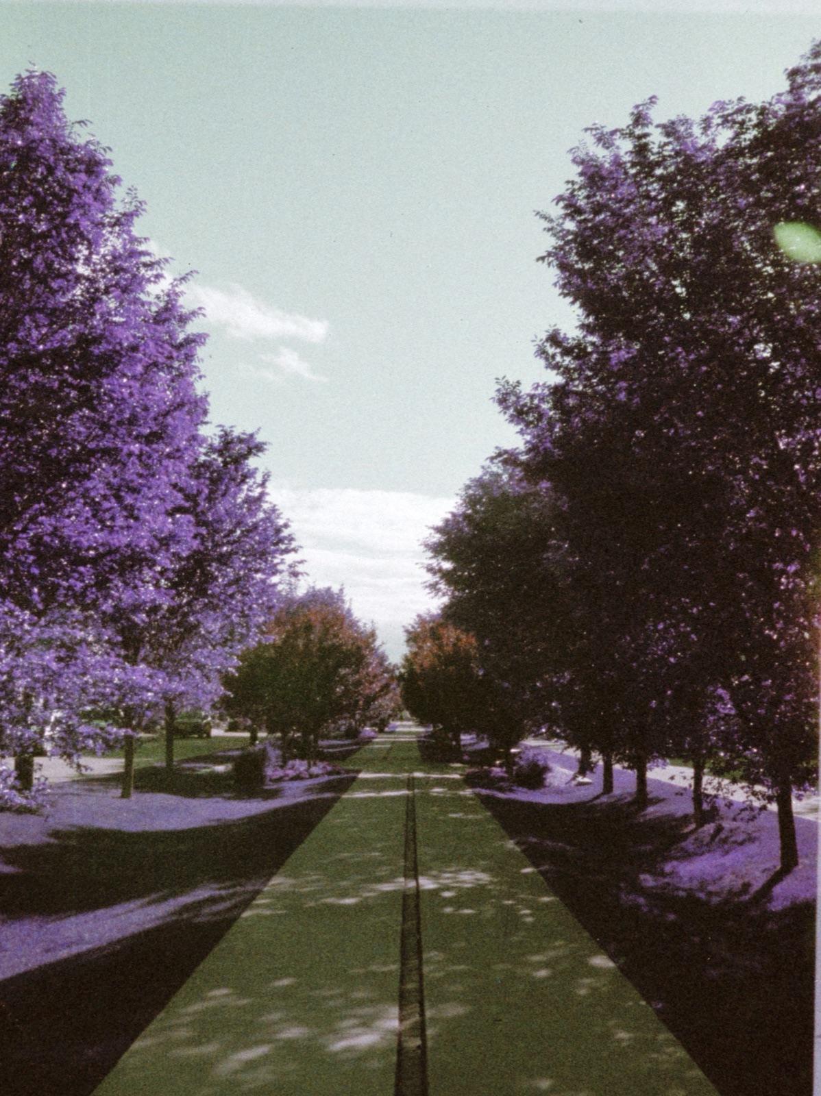Other Worldly